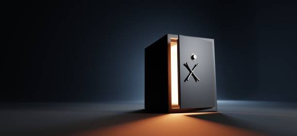 Home Vault Solutions